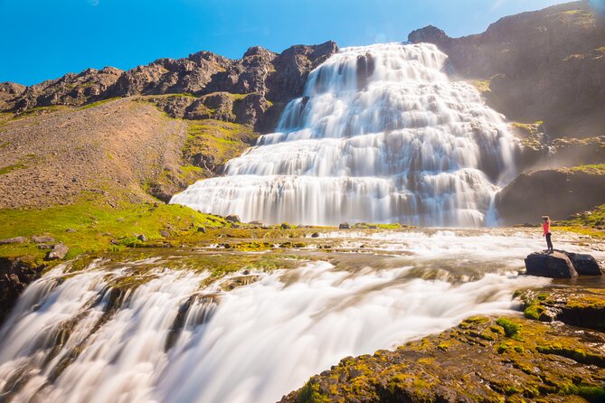 Dynjandi Waterfall & Iceland Farm Visit Tour - Guides, comfort, and group size on this 58-person max day