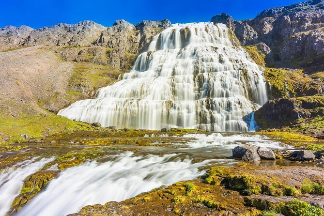 Dynjandi Waterfall & Iceland Farm Visit Tour - Price and timing: what $149 buys you in real time