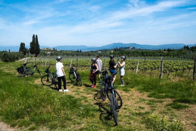 E-bike Chianti Classico & Tuscany tour with Wine & Lunch at Farm - Via Colleramole: Ghirlandaio Territory and Olive Grove Views