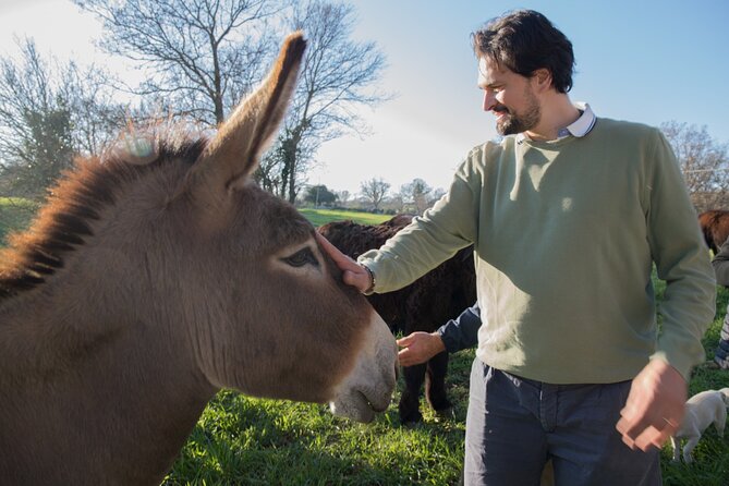 E-bike Tour to Alberobello with Visit to a Donkey Farm - E-Bike + Trulli + Donkey Farm: What This Tour Feels Like in Real Life