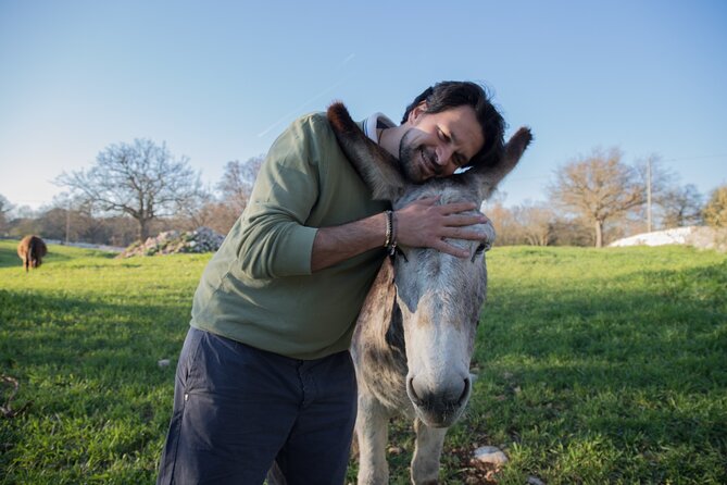 E-bike Tour to Alberobello with Visit to a Donkey Farm - Stop 5: I Trulli di Alberobello UNESCO Stop—Stories, Legends, and Origins