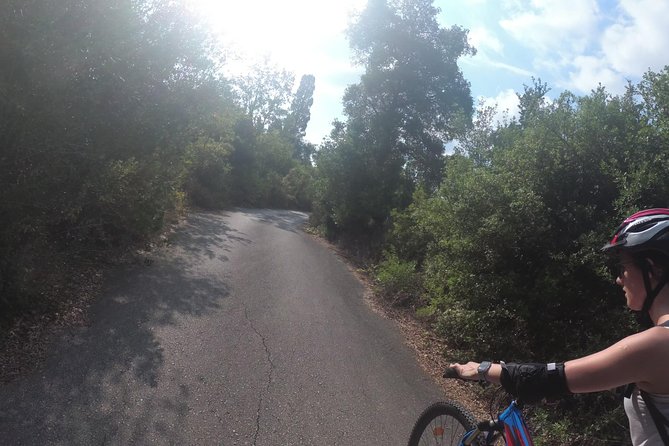 e-MTB Tour - Durrells Farm & Crab Lake [30Km - 18Mi] - Price and Value for 2.5 Hours in Corfu
