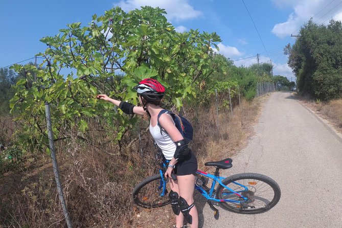 e-MTB Tour - Durrells Farm & Crab Lake [30Km - 18Mi] - From Andrea Kalvou to Poulades: Setting Off on Mixed Terrain