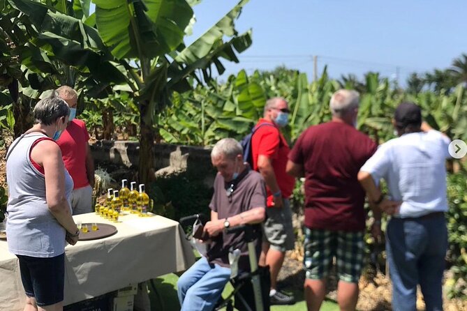 Eco banana farm Tour - Group size, crowd control, and why the small cap matters