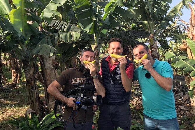 Eco banana farm Tour - Meeting at Merendero El Rincón and timing your morning