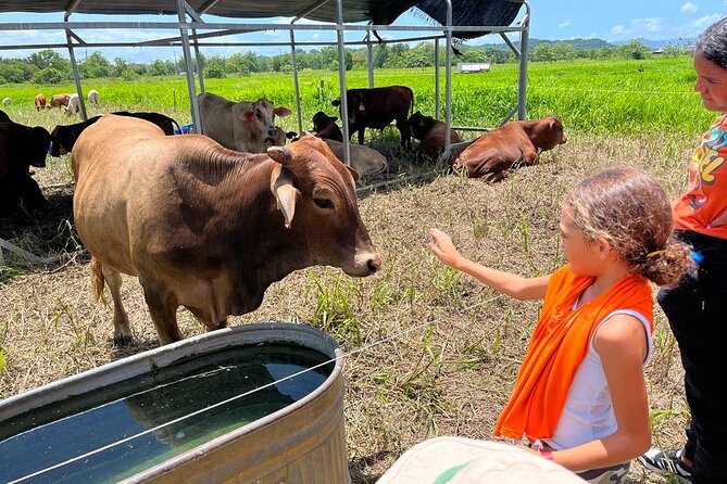 Eco Friendly Farming Tour to Explore Dorado's Most Beautiful Farm - Key Points at a Glance
