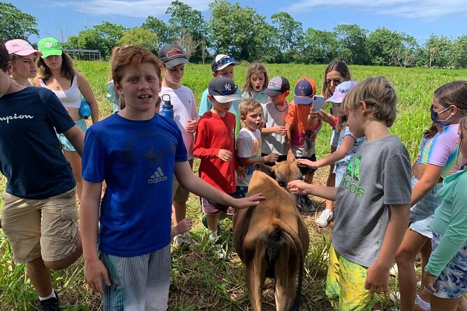 Eco Friendly Farming Tour to Explore Dorado's Most Beautiful Farm - Finca Pastoreo: A Real Farm Tour in Dorado’s Backyard