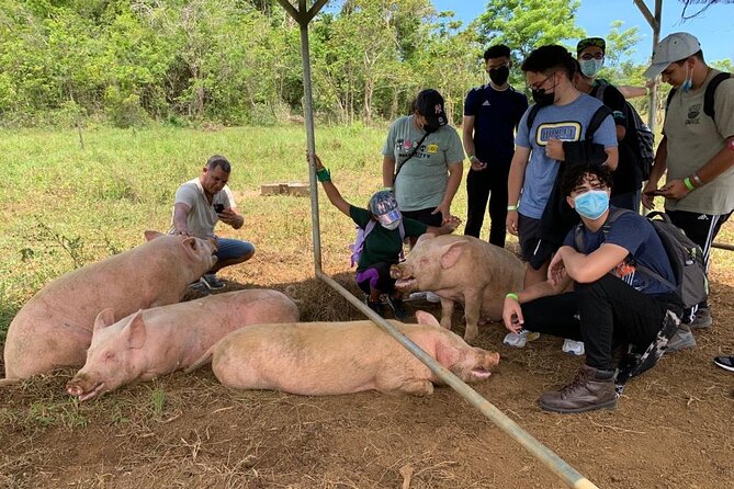 Eco Friendly Farming Tour to Explore Dorado's Most Beautiful Farm - Food, Gelato, Pizza, and Farm-Shop Hours That Matter