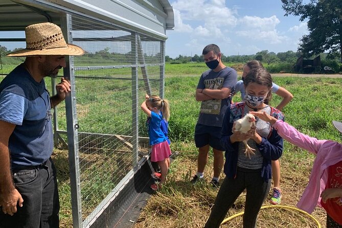 Eco Friendly Farming Tour to Explore Dorado's Most Beautiful Farm - Price and Value: What $20 Buys in Real Farming Time
