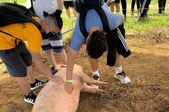 Eco Friendly Farming Tour to Explore Dorado's Most Beautiful Farm - Practical Stuff: Shoes, Sun, Timing, and Small Group Comfort