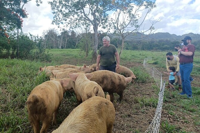 Eco Friendly Farming Tour to Explore Dorado's Most Beautiful Farm - Who This Tour Suits Best (and Who Should Reconsider)
