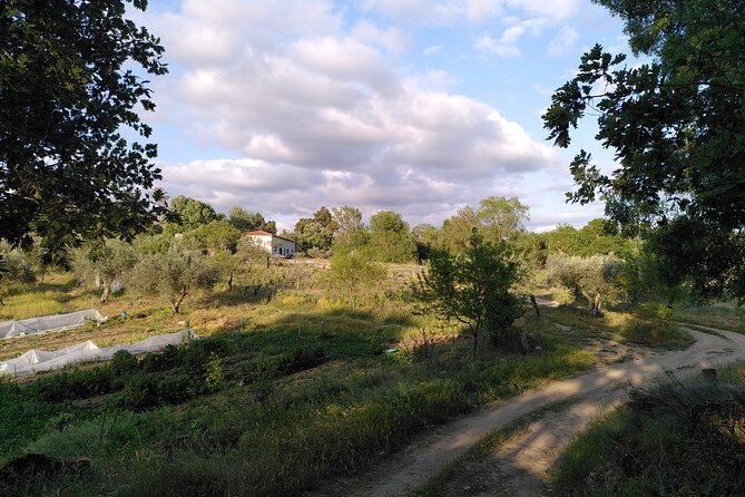 Ecotourism: Organic Farm & Animal Tour near Serra da Estrela - Key reasons this tour is worth your time
