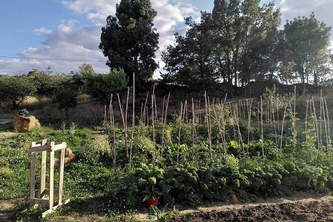 Ecotourism: Organic Farm & Animal Tour near Serra da Estrela - Where this organic farm fits into your Serra da Estrela plans