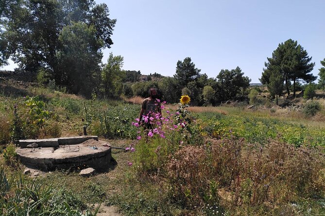 Ecotourism: Organic Farm & Animal Tour near Serra da Estrela - Eco-friendly gardens: vegetables, medicinal plants, and simple planting moments
