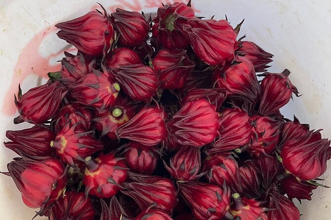 Edible Hibiscus Guided Farm Tour (Big Island) - What Makes This 1.5-Hour Tour Worth Your Time