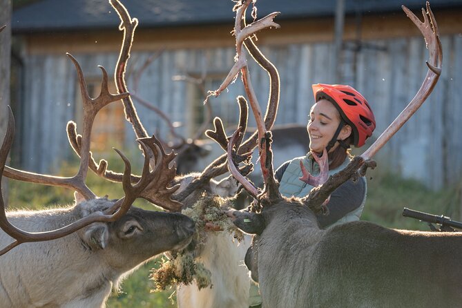 Electric Fatbike Trip to the Reindeer Farm - Electric Fatbikes in Lapland: What the Ride Feels Like