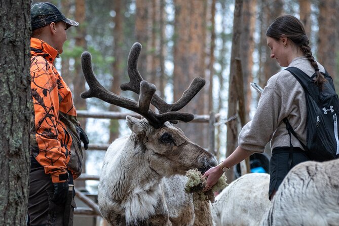 Electric Fatbike Trip to the Reindeer Farm - Forest Ride to the Reindeer Farm: 45 Minutes of Lapland Air