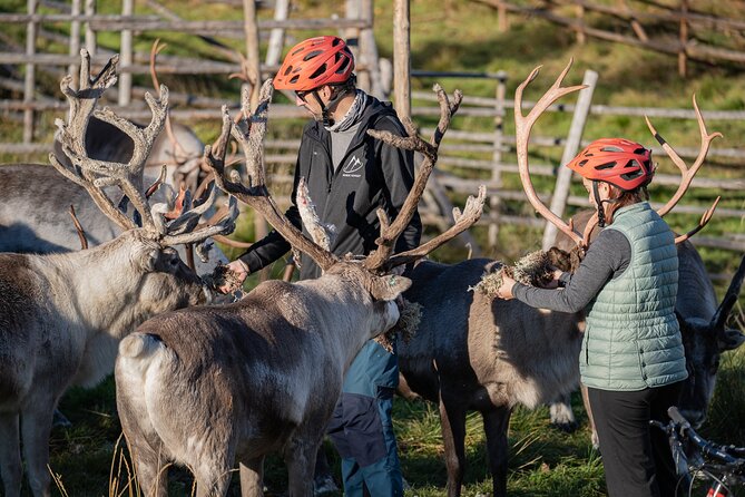 Electric Fatbike Trip to the Reindeer Farm - The Bike Back to Rovaniemi: A Different Path, Same Sense of Wonder