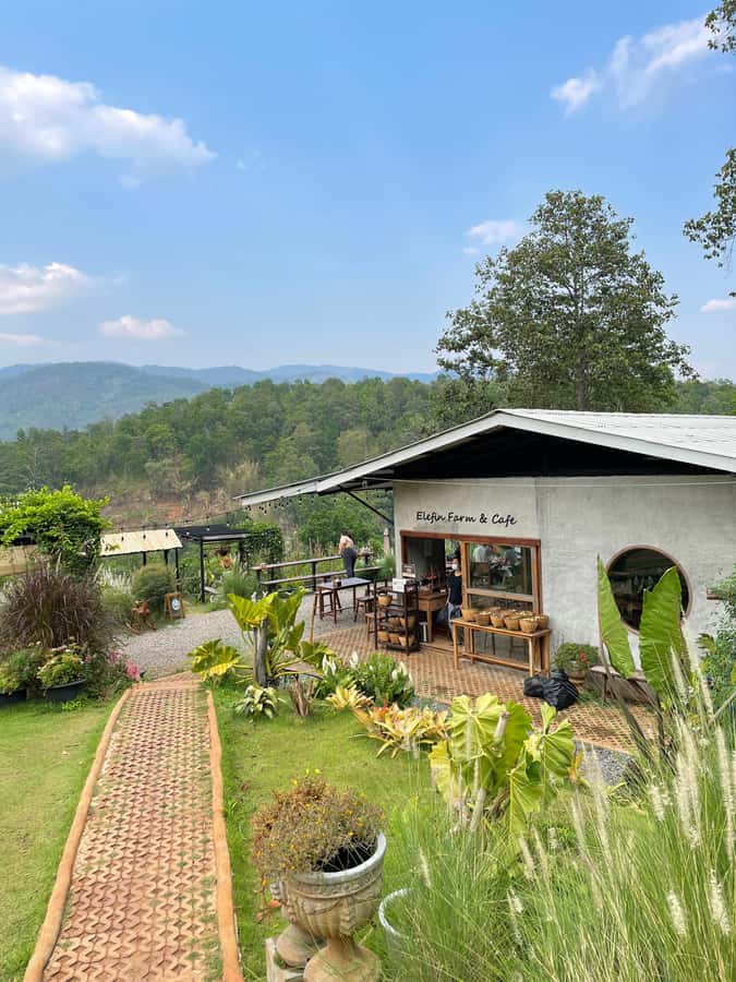 Elefin Farm & Cafe Half-day tour with Private Car - Should you book Elefin Farm & Cafe with private car?