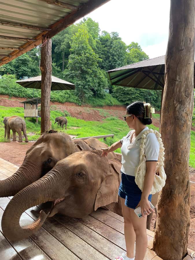 Elefin Farm & Cafe Half-day tour with Private Car - Elefin Farm & Cafe: gentle elephant feeding and close contact