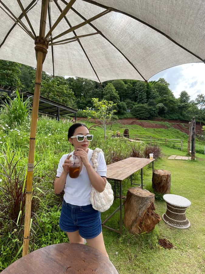 Elefin Farm & Cafe Half-day tour with Private Car - Who this private half-day fits best