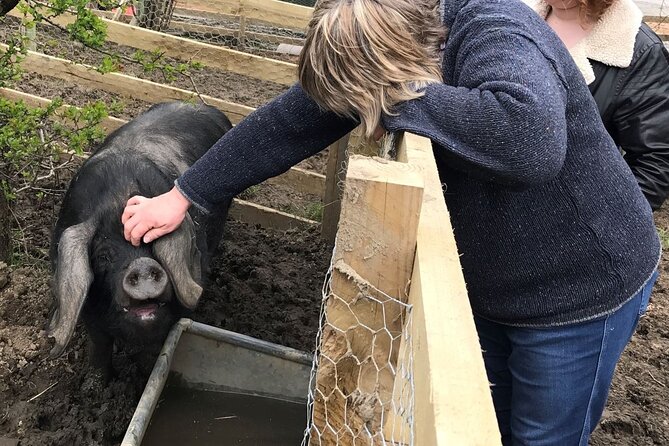 Errichel Farm Tour - Meeting at Thyme Delicatessen Errichel: timing, tickets, and what to expect