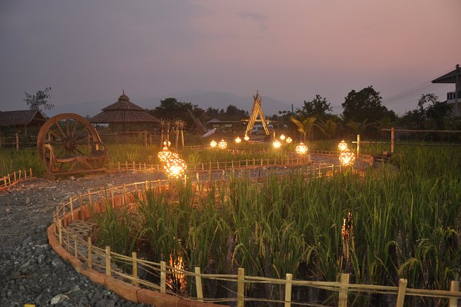 Evening Cooking Class in Organic Farm with Local Market Tour - A Late-Afternoon Thai Cooking Plan in Chiang Mai