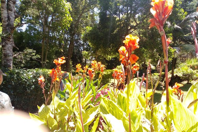 Excursion to Kiambethu Tea Farm - Lunch on the farm: why the 3-course buffet is more than just a break