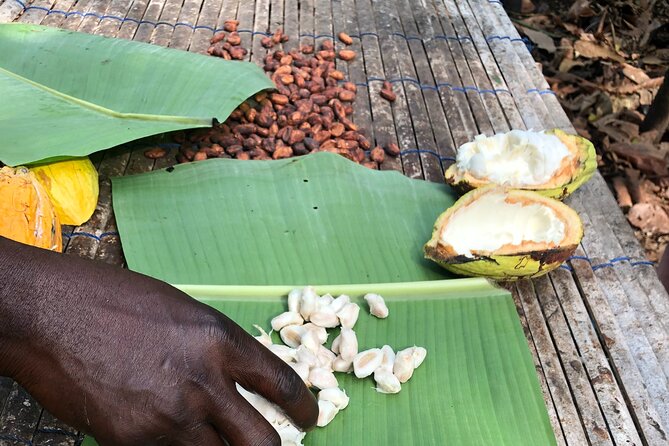 Experience Boti Waterfalls, Aburi Botanical Gardens & Tetteh Quarshie Cocoa Farm - The best way to read this tour: a nature-and-cocoa day with an actual hike