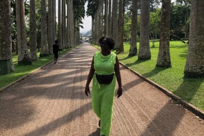 Experience Boti Waterfalls, Aburi Botanical Gardens & Tetteh Quarshie Cocoa Farm - Aburi Botanical Gardens: medicinal plants and a carved dead tree