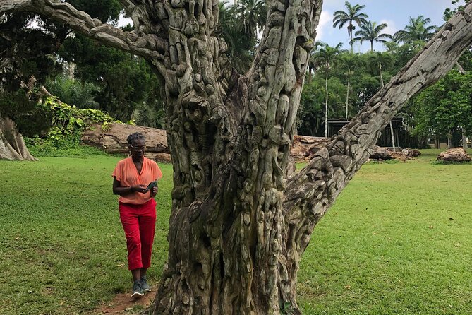 Experience Boti Waterfalls, Aburi Botanical Gardens & Tetteh Quarshie Cocoa Farm - Price and time: does $175 buy you a better day, or just a busy one?