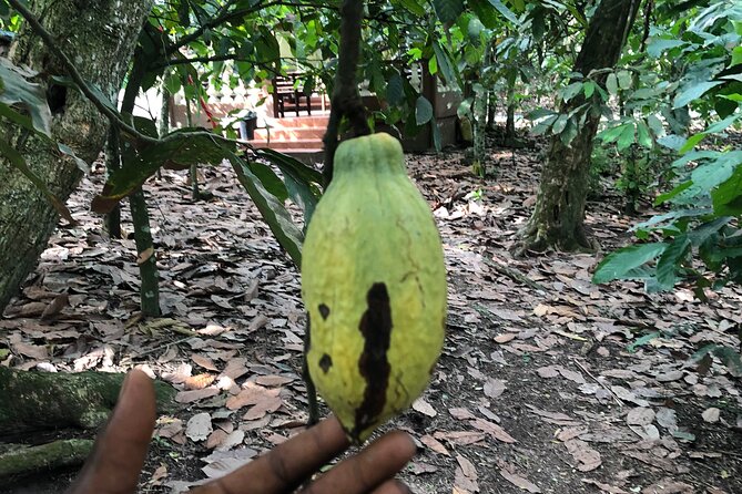Experience Boti Waterfalls, Aburi Botanical Gardens & Tetteh Quarshie Cocoa Farm - What to pack so Boti doesn’t ruin your day
