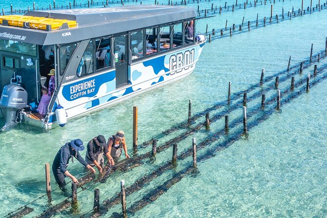 Experience Coffin Bay Oyster Farm and Bay Tour - Key Highlights at a Glance