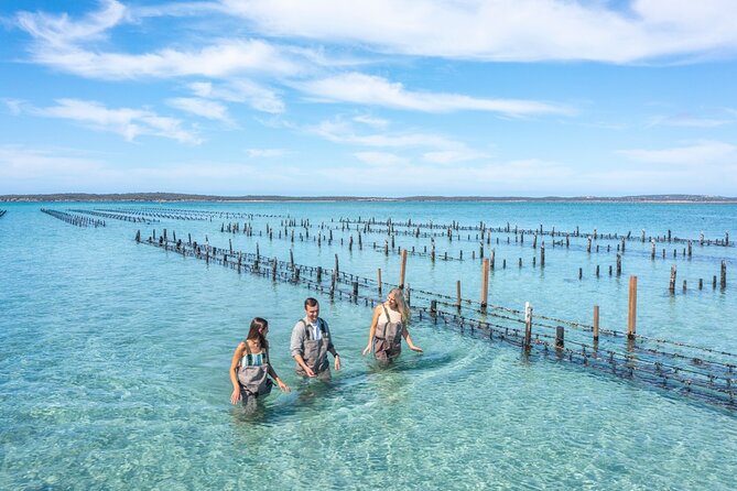 Experience Coffin Bay Oyster Farm and Bay Tour - Setting Out From Coffin Bay Yacht Club Jetty at 9:30 am