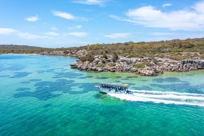 Experience Coffin Bay Oyster Farm and Bay Tour - Brothers Islands Wildlife Stop for Seals (and Maybe Dolphins)
