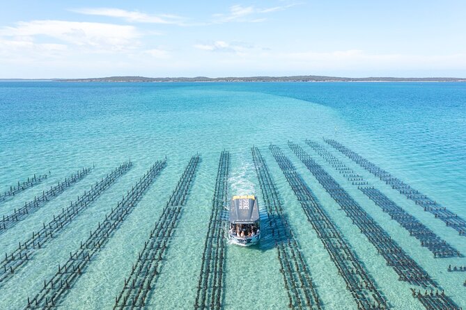 Experience Coffin Bay Oyster Farm and Bay Tour - What to Expect on the Day: Timing, Boat Time, and Alcohol
