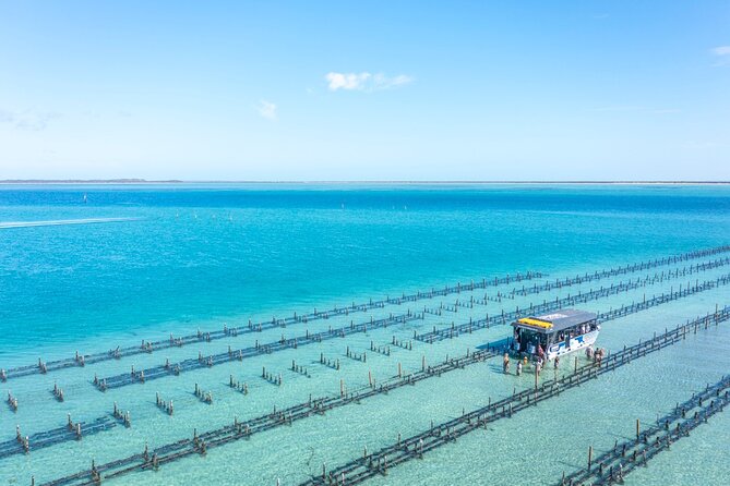 Experience Coffin Bay Oyster Farm and Bay Tour - Practical Tips: Getting the Most From the Waders and Oysters