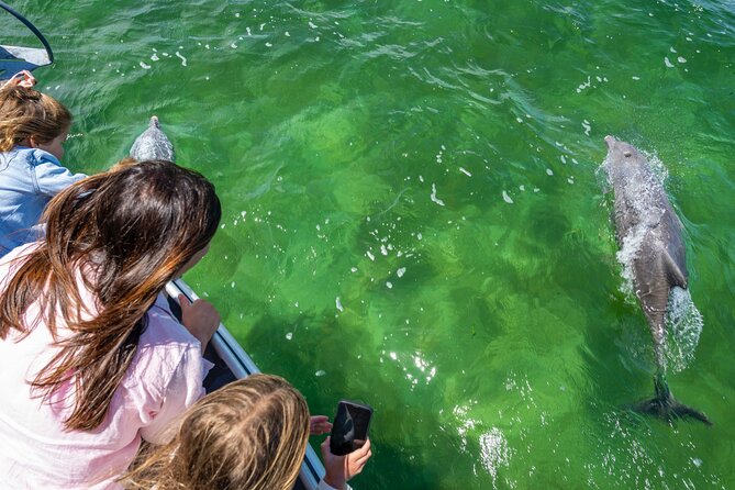 Experience Coffin Bay Short and Sweet Oyster Farm Tour - Nursery oyster farms to original fixed rails: seeing the system, not just the product