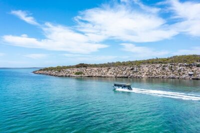 Experience Coffin Bay Short and Sweet Oyster Farm Tour - Setting sail at Kellidie Bay: conservation park scenery and oyster farming context