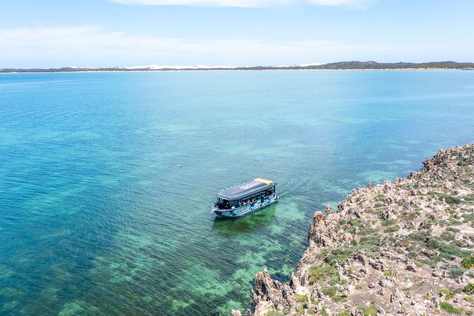 Experience Coffin Bay Short and Sweet Oyster Farm Tour - The guide makes the difference: farmer insight, clear answers, and calm pacing