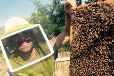 Experience Our Honey Farm And Beekeeping Tour - Inside the Beekeeping Demo: Box-Seat Viewing, Screened Safety