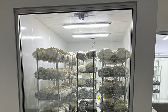 Explore Chicago’s Indoor Mushroom Farm Experience - Entering Chicago’s indoor mushroom operation (and what to expect)