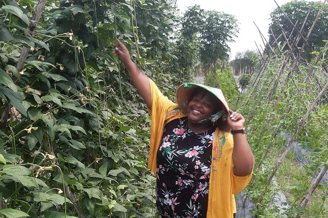 Exploring organic farm & Vietnamese Culinary with Master chef - Why this feels different from a typical cooking class