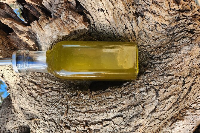 extravirgin olive oil tasting,the story of a farm - Why the Pairings Work: Wine, Cheese, and Oil in One Course