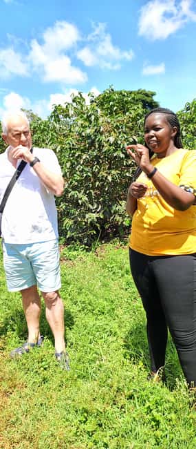 FAIRVIEW COFFEE FARM DAY TOUR - Practical Tips to Get More Out of the Coffee Tasting