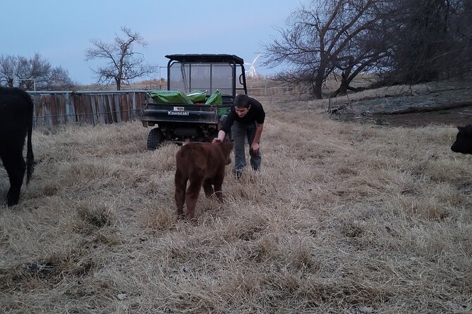 Farm Adventure Experience in Red Hill Ranch - Quick Hits: What Makes This Ranch Adventure Worth Your Time