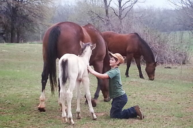 Farm Adventure Experience in Red Hill Ranch - Ranch Hosts, UTVs, and Animal Chores That Feel Like Real Life