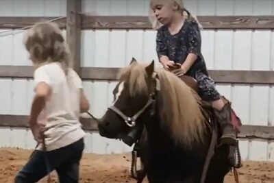 Farm Adventure Experience in Red Hill Ranch - Price and Time: How This Fits a Tight Budget