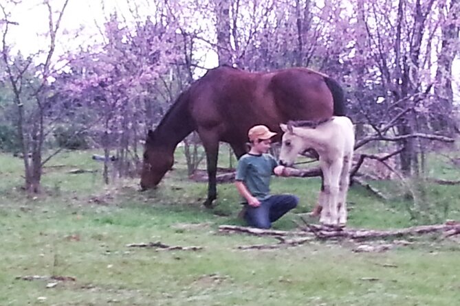 Farm Adventure Experience in Red Hill Ranch - Lunch from Ranch Beef: Real Value for a Low Price