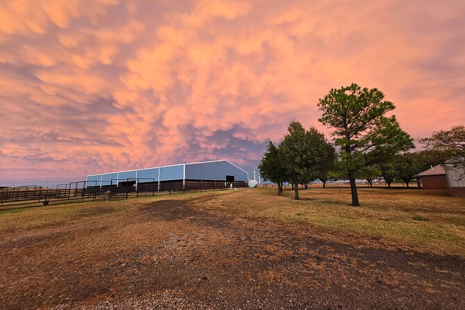 Farm Adventure Experience in Red Hill Ranch - Extra Ranch Touches You Might Want to Ask About